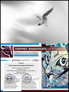 My dear friends! 
My work "The Art of flying" took part and took 2nd place in the category "Photography" in the international competition "Portrait of an animal" on June 2-7, 2020. The exhibition of competitive works will be held after the removal of quarantine measures in St. Petersburg. The works will be shown at the exhibition center of the Saint Petersburg Union of artists at 38 Bolshaya Morskaya street.