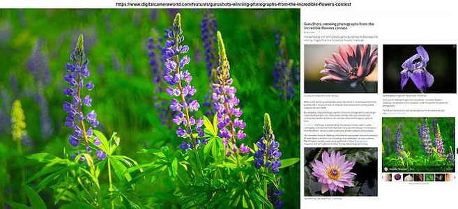 My dear friends,
My photo was published in Digital Camera World Magazine article regarding the winning photographs from the Incredible Flowers contest.
https://www.digitalcameraworld.com/features/gurushots-winning-photographs-from-the-incredible-flowers-contest