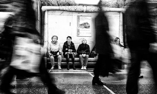 *One moment from the life of one bench...*

Alexander Tarasenkov 
member of www.besttopphotographer.com 
http://alexander-tarasenkov.photo-gallery.besttopphotographer.com/
+110473080845421674567 +113408942588672463601 +106076691418230531902 curated by 
+117692345791611512506 +110091679872266331790 +117946374842099106894 +116501742697641301903 

#PhotoManiaRussia +112265665616205691869 curated by +113503660328946233087 , +104698343803989200259, +116174983967995556277, +109229655199470511440 , +100729516053218527245, +117294120116342662564, +104636490732373417010 and +109740398642493809195 
#HQSPUrbanStreetPhotos  +102873089149603762163  curated by  +105869820195207598778 +109229655199470511440 +111462215342682671831 +109740398642493809195  +116115983733895157383 and  +118152657608937558107 
#hqspmonochrome +104112931232906076951 curated by +106606201165200512813 +101180191844275719215 +109229655199470511440 and 106441509222189977400
#BTPStreetPro – +100987991556762270859 . owned by +116501742697641301903 ,curated by +114204749561905497250
#BTPMonochromePro – +102423422094041260362 . owned by +116501742697641301903 ,curated by +100657331649343801873
#monochromeworld +109109935435669747474 curated by +116587706417674222489
#MonochromeMonday +100721197069868019681  
+118354348104191320538  curated by  +117000139571713536948 +105549797352796189905 #10000photographersBWmonochrome
#allthingsblackandwhite +104488912244914098950 curated by +103236949470535942612
#bwfineartle +101977805475001139450 curated by +107742567767125793693
#monochromeartyclub : +100063075762256579052 curated by +102550939011914482302 +103197072119870191855 +105101694711744871391 +115665147773049983469
#streetpics +117667139809211458332 curated by +104868103883930365103 +105005526338636739904 +109152312140840616267 +111895201268622692277 +114993049360168606780
#10000photographers +110538600381916983600  curated by  +117000139571713536948 
#myfavpicoftheday +1137701451374471
