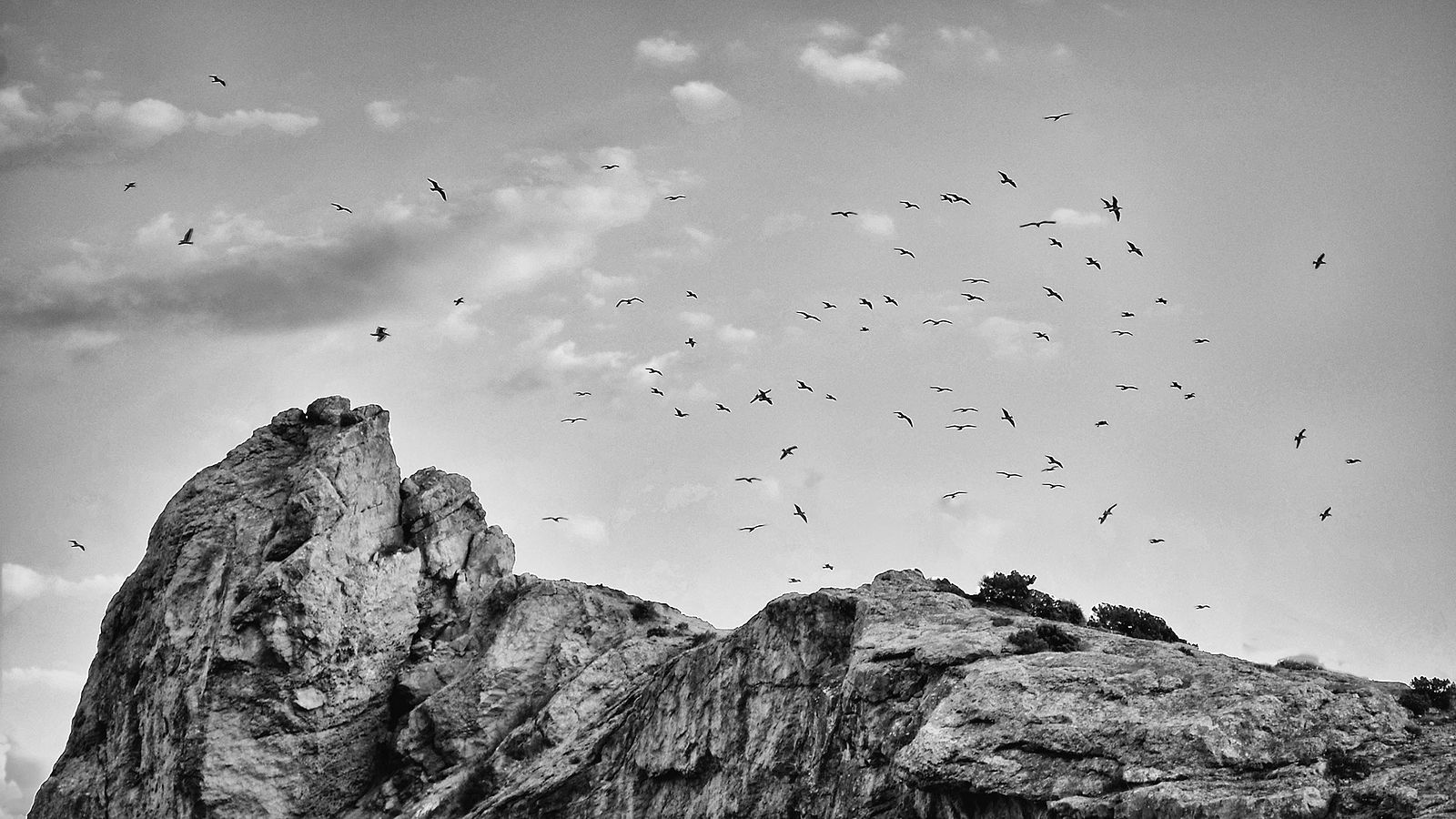 Alexander Tarasenkov (Александр Тарасенков) photographer, Moscow. Traveling in Cimmeria (Art Geography of Crimea). Untitled