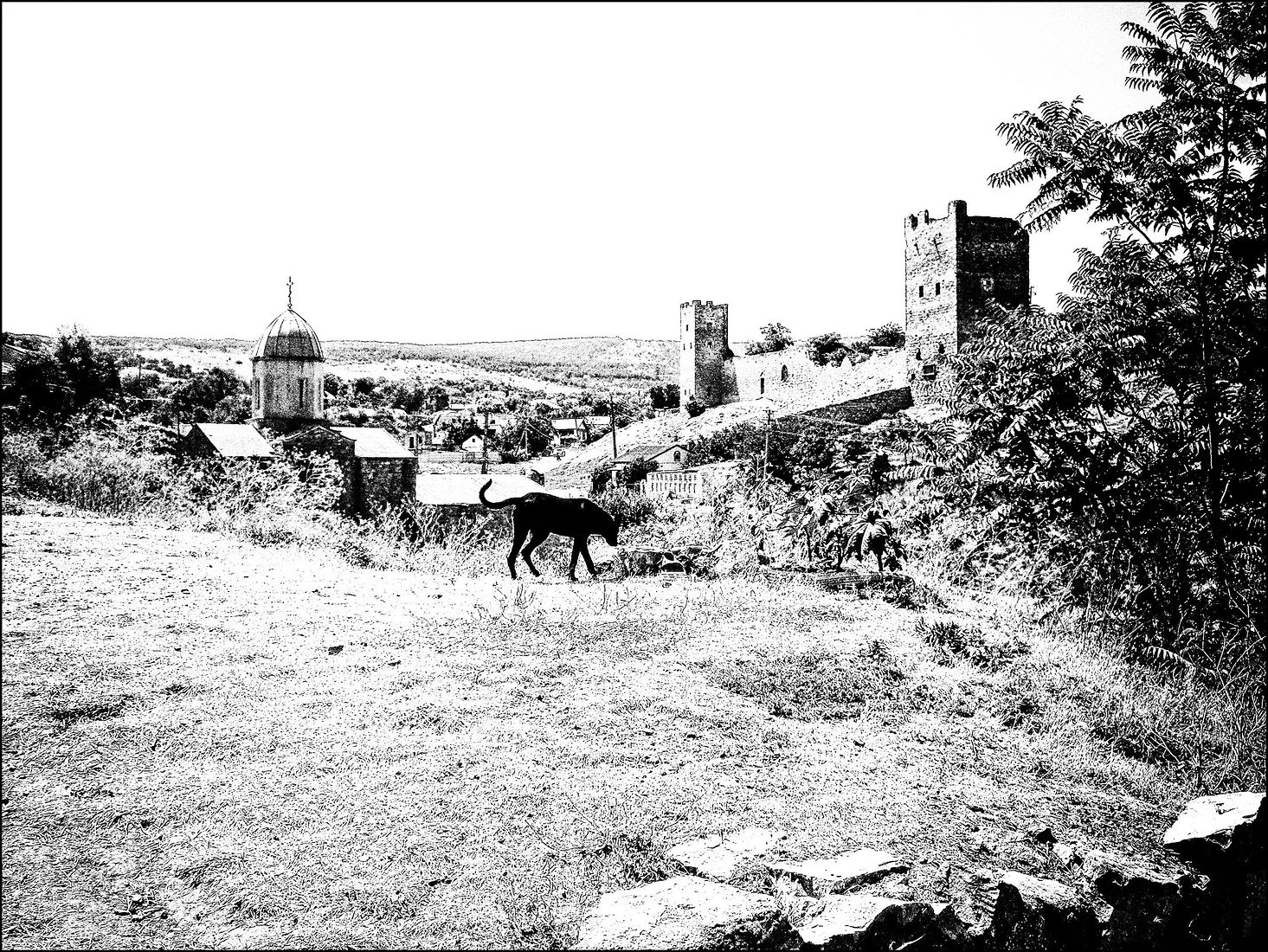 Alexander Tarasenkov (Александр Тарасенков) photographer, Moscow. Traveling in Cimmeria (Art Geography of Crimea). Untitled
