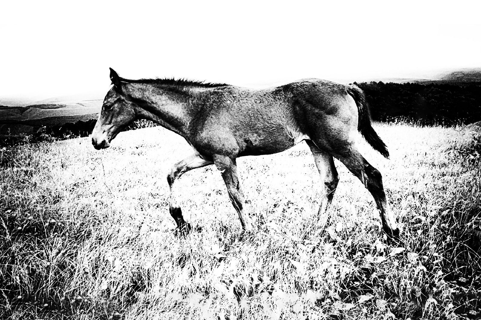 *Childhood...*    +110473080845421674567 +113408942588672463601 +106076691418230531902 curated by   +117692345791611512506 +110091679872266331790 +117946374842099106894 +116501742697641301903 #PhotoManiaRussia +112265665616205691869 curated by +104698343803989200259, +109229655199470511440 , +100729516053218527245, +104636490732373417010,  +110913203234336237534 and +101541226861271538546 #hqspanimals  +115459135731271475295 curated by +100894839987772923351 +106731078503810323845 +104119324947337436102 #hqspmonochrome #BTPAnimalPRO – +107759205526289733592 . owned by +116501742697641301903 , curated by +104371038387535921311 #BTPMonochromePro – +102423422094041260362 . owned by +116501742697641301903 ,curated by +100657331649343801873 #StreetPhotographySaturday +106159297180036570254 curated by +117500212198182258088 #myfavpicoftheday +113770145137447191122  curated by  +112086557200947219062 +110467478731575282246 #bellesphotos +114780509376641005733 curated by +103133077905775580050 +118092317058592595356 #showyourbestwork +116251675481754618997 curated by +101697458106330852210 #BreakfastArtClub +117055170035529799532 #promotephotography +117442006850435584887 #BreakfastArtClub +117055170035529799532  +117384787981686260131 created & managed by +107312821985718499517﻿   #WeeklyPhoto page +110110076971164390682 #goodlightphotography +116396105365018385639 +115234054883058345779