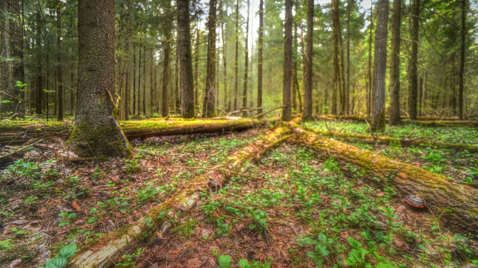 *Perspective...*    +110473080845421674567 +113408942588672463601 +106076691418230531902 curated by   +117692345791611512506 +110091679872266331790 +117946374842099106894 +116501742697641301903 #PhotoManiaRussia +112265665616205691869 curated by +113503660328946233087 , +104698343803989200259, +116174983967995556277,  +100729516053218527245, +117294120116342662564, +104636490732373417010 and +109740398642493809195 #hqsphdr +109342006774768242687 curated by +108125971317987244236 +109229655199470511440 +100729516053218527245 +101940871974297004744 and +103230546041431654298 #hqsplandscape +100379827397924071303 curated  curated by  +117069612523347673246 +101637758569124225373 +114204749561905497250 +114014251115875289955 +105161909852728899278 #BTPLandscapePro – +116416755205215746848 . owned by +116501742697641301903 ,curated by +116501742697641301903 #myfavpicoftheday +113770145137447191122  curated by  +112086557200947219062 +110467478731575282246 #StreetPhotographySaturday  +106159297180036570254 curated by +117500212198182258088 #showyourbestwork +116251675481754618997 curated by +101697458106330852210 #WeeklyPhoto page +110110076971164390682 +117384787981686260131 created & managed by +107312821985718499517﻿ #promotephotography +117442006850435584887 #BreakfastArtClub +117055170035529799532 #LandscapePhotography +105588730866970114510 curated by +107958599012052618167 +115999241152301177288 +105344589478658282272 +101051673846354302613 +117423425931323973939 +102450853600215978126 +104471389533458565227 +108709929349500368521 +111383141669480418380 +115048152988836527267 +110980894664177045485 curated by +110804953626559077511 #goodlightphotography +116396105365018385639 +115234054883058345779