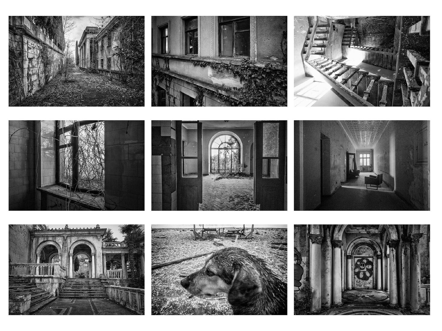 Alexander Tarasenkov (Александр Тарасенков) photographer, Moscow. Exhibitions. Untitled My dear friends! I am glad to share the good news with you. My project "The Vanished Empire" was awarded by the Ministry of Culture of the Russian Federation with a State scholarship for outstanding cultural figures of Russia.