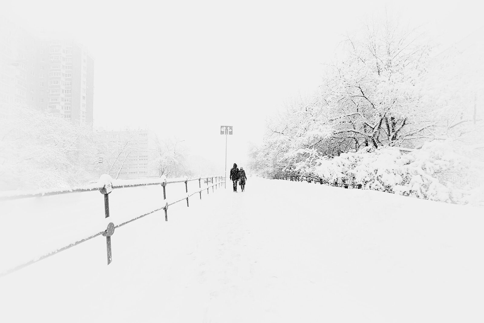 *The vast ocean of winter*

+113408942588672463601 +106076691418230531902 +110091679872266331790 +117946374842099106894 +116501742697641301903 #PhotoManiaRussia +112265665616205691869 curated by +104698343803989200259, +109229655199470511440 , +100729516053218527245, +104636490732373417010,  +110913203234336237534 and +101541226861271538546  #HQSPUrbanStreetPhotos #hqspStreetDoc   #hqspmonochrome #BTPStreetPro – +100987991556762270859 . owned by +116501742697641301903 ,curated by +114204749561905497250 #BTPMonochromePro – +102423422094041260362 . owned by +116501742697641301903 ,curated by +100657331649343801873 #StreetPhotographySaturday +106159297180036570254 curated by +117500212198182258088 #myfavpicoftheday +113770145137447191122  curated by  +112086557200947219062 +110467478731575282246 #showyourbestwork +116251675481754618997 curated by +101697458106330852210 #promotephotography +117442006850435584887 #BreakfastArtClub +117055170035529799532 +117384787981686260131 created & managed by +107312821985718499517 #WeeklyPhoto page +110110076971164390682 #goodlightphotography +116396105365018385639 +115234054883058345779