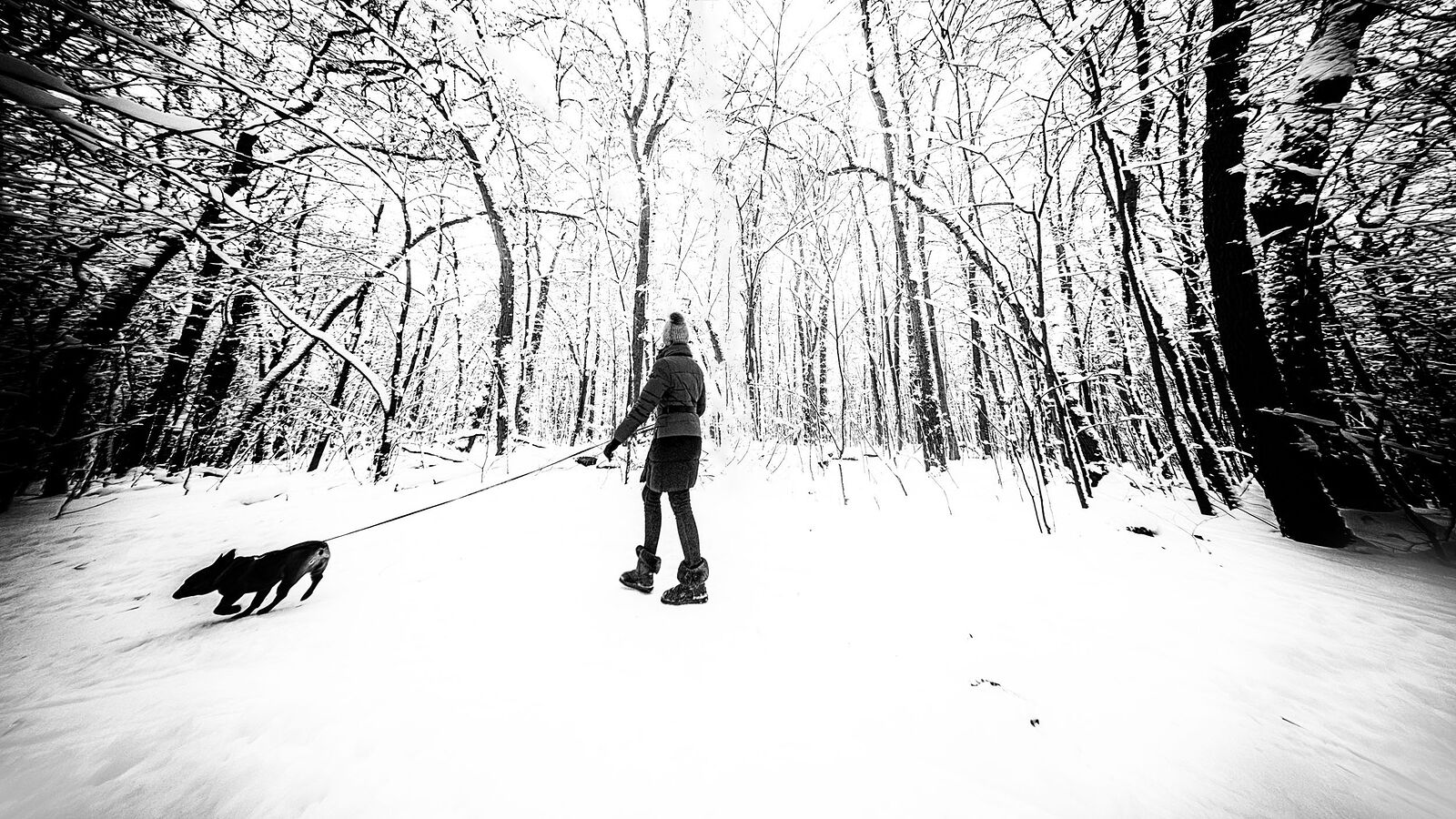 *Lady with a doggy*

+113408942588672463601 +106076691418230531902 +110091679872266331790 +117946374842099106894 +116501742697641301903 #PhotoManiaRussia +112265665616205691869 curated by +104698343803989200259, +109229655199470511440 , +100729516053218527245, +104636490732373417010,  +110913203234336237534 and +101541226861271538546  #HQSPUrbanStreetPhotos #hqspStreetDoc   #hqspmonochrome #BTPStreetPro – +100987991556762270859 . owned by +116501742697641301903 ,curated by +114204749561905497250 #BTPMonochromePro – +102423422094041260362 . owned by +116501742697641301903 ,curated by +100657331649343801873 #StreetPhotographySaturday +106159297180036570254 curated by +117500212198182258088 #myfavpicoftheday +113770145137447191122  curated by  +112086557200947219062 +110467478731575282246 #showyourbestwork +116251675481754618997 curated by +101697458106330852210 #promotephotography +117442006850435584887 #BreakfastArtClub +117055170035529799532 +117384787981686260131 created & managed by +107312821985718499517 #WeeklyPhoto page +110110076971164390682 #goodlightphotography +116396105365018385639 +115234054883058345779