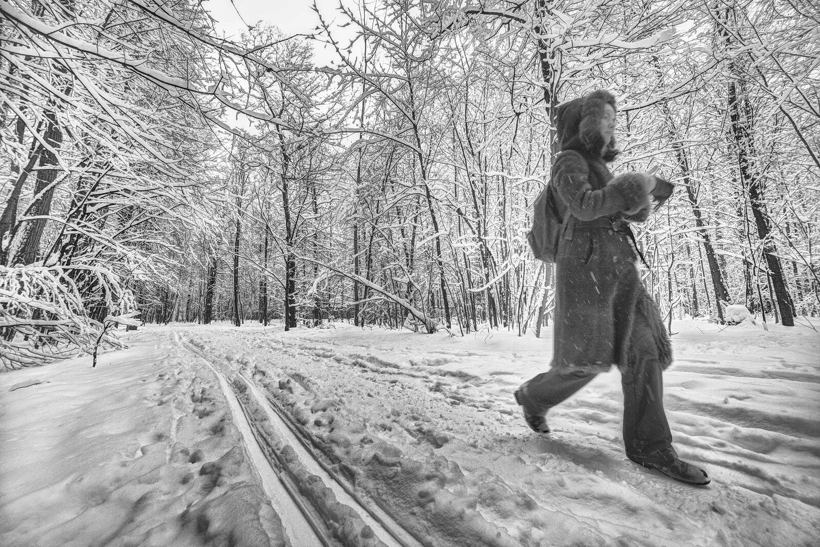 *In a snow fairy tale...*

+110473080845421674567 +113408942588672463601 +106076691418230531902 curated by 
+117692345791611512506 +110091679872266331790 +117946374842099106894 +116501742697641301903 #PhotoManiaRussia +112265665616205691869 curated by +113503660328946233087 , +104698343803989200259, +116174983967995556277,  +100729516053218527245, +117294120116342662564, +104636490732373417010 and +109740398642493809195 #hqsplandscape +100379827397924071303 curated  curated by  +117069612523347673246 +101637758569124225373 +114204749561905497250 +114014251115875289955 +105161909852728899278 #hqsphdr +109342006774768242687 curated by +108125971317987244236 +100729516053218527245 +101940871974297004744 and +103230546041431654298 #hqspmonochrome +104112931232906076951 curated by  +116560541114804305108  +101180191844275719215  +109740398642493809195   +106441509222189977400 +102386532708336673488  +106606201165200512813 and +106510116471983226359 #hqsphdr +109342006774768242687 curated by +108125971317987244236 +109229655199470511440 +100729516053218527245 +101940871974297004744 and +103230546041431654298 #HQSPUrbanStreetPhotos #hqspStreetDoc #BTPLandscapePro – +116416755205215746848 . owned by +116501742697641301903 ,curated by +116501742697641301903 #BTPMonochromePro – +102423422094041260362 . owned by +116501742697641301903 ,curated by +100657331649343801873 #BTPStreetPro – +100987991556762270859 . owned by +116501742697641301903 ,curated by +114204749561905497250 #StreetPhotographySaturday +106159297180036570254 curated by +117500212198182258088 #myfavpicoftheday +113770145137447191122  curated by  +112086557200947219062 +110467478731575282246 #showyourbestwork +116251675481754618997 curated by +101697458106330852210 #BreakfastArtClub +117055170035529799532 +117384787981686260131 created & managed by +107312821985718499517﻿ #WeeklyPhoto page +110110076971164390682 #promotephotography +117442006850435584887 #LandscapePhotography +10558