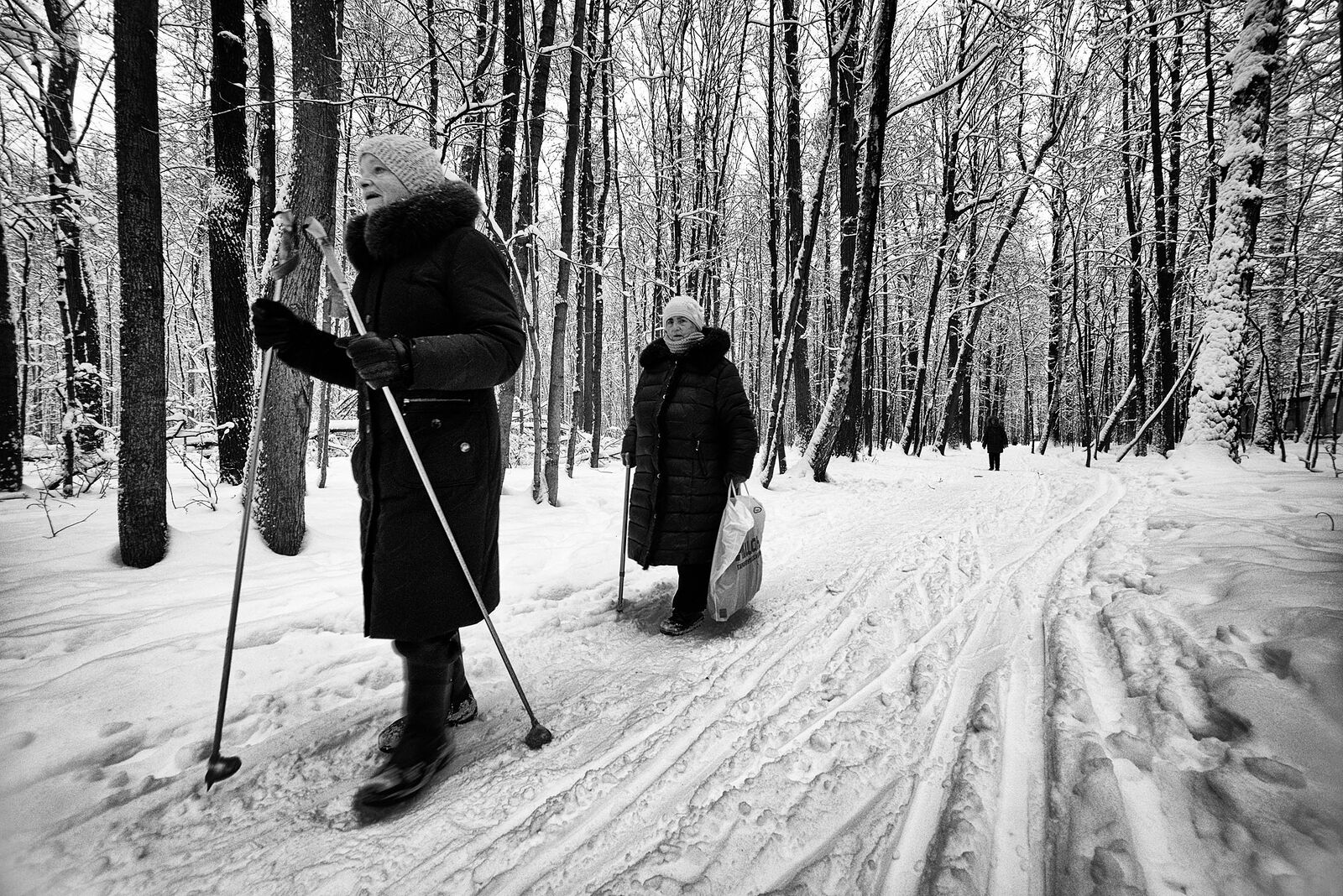 *In the winter park...*

+110473080845421674567 +113408942588672463601 +106076691418230531902 curated by 
+117692345791611512506 +110091679872266331790 +117946374842099106894 +116501742697641301903 #PhotoManiaRussia +112265665616205691869 curated by +113503660328946233087 , +104698343803989200259, +116174983967995556277,  +100729516053218527245, +117294120116342662564, +104636490732373417010 and +109740398642493809195 #hqsplandscape +100379827397924071303 curated  curated by  +117069612523347673246 +101637758569124225373 +114204749561905497250 +114014251115875289955 +105161909852728899278 #hqsphdr +109342006774768242687 curated by +108125971317987244236 +100729516053218527245 +101940871974297004744 and +103230546041431654298 #hqspmonochrome +104112931232906076951 curated by  +116560541114804305108  +101180191844275719215  +109740398642493809195   +106441509222189977400 +102386532708336673488  +106606201165200512813 and +106510116471983226359 #hqsphdr +109342006774768242687 curated by +108125971317987244236 +109229655199470511440 +100729516053218527245 +101940871974297004744 and +103230546041431654298 #HQSPUrbanStreetPhotos #hqspStreetDoc #BTPLandscapePro – +116416755205215746848 . owned by +116501742697641301903 ,curated by +116501742697641301903 #BTPMonochromePro – +102423422094041260362 . owned by +116501742697641301903 ,curated by +100657331649343801873 #BTPStreetPro – +100987991556762270859 . owned by +116501742697641301903 ,curated by +114204749561905497250 #StreetPhotographySaturday +106159297180036570254 curated by +117500212198182258088 #myfavpicoftheday +113770145137447191122  curated by  +112086557200947219062 +110467478731575282246 #showyourbestwork +116251675481754618997 curated by +101697458106330852210 #BreakfastArtClub +117055170035529799532 +117384787981686260131 created & managed by +107312821985718499517﻿ #WeeklyPhoto page +110110076971164390682 #promotephotography +117442006850435584887 #LandscapePhotography +1055887