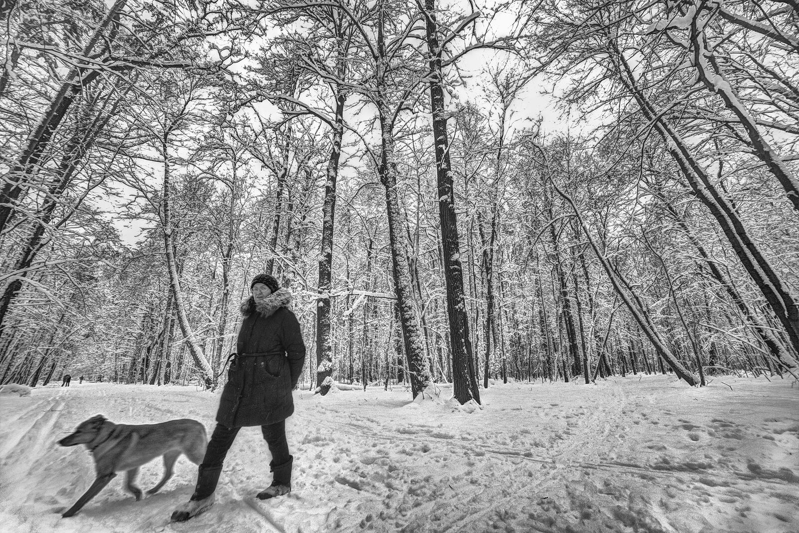 *In a snow fairy tale...*

+110473080845421674567 +113408942588672463601 +106076691418230531902 curated by 
+117692345791611512506 +110091679872266331790 +117946374842099106894 +116501742697641301903 #PhotoManiaRussia +112265665616205691869 curated by +113503660328946233087 , +104698343803989200259, +116174983967995556277,  +100729516053218527245, +117294120116342662564, +104636490732373417010 and +109740398642493809195 #hqsplandscape +100379827397924071303 curated  curated by  +117069612523347673246 +101637758569124225373 +114204749561905497250 +114014251115875289955 +105161909852728899278 #hqsphdr +109342006774768242687 curated by +108125971317987244236 +100729516053218527245 +101940871974297004744 and +103230546041431654298 #hqspmonochrome +104112931232906076951 curated by  +116560541114804305108  +101180191844275719215  +109740398642493809195   +106441509222189977400 +102386532708336673488  +106606201165200512813 and +106510116471983226359 #hqsphdr +109342006774768242687 curated by +108125971317987244236 +109229655199470511440 +100729516053218527245 +101940871974297004744 and +103230546041431654298 #HQSPUrbanStreetPhotos #hqspStreetDoc #BTPLandscapePro – +116416755205215746848 . owned by +116501742697641301903 ,curated by +116501742697641301903 #BTPMonochromePro – +102423422094041260362 . owned by +116501742697641301903 ,curated by +100657331649343801873 #BTPStreetPro – +100987991556762270859 . owned by +116501742697641301903 ,curated by +114204749561905497250 #StreetPhotographySaturday +106159297180036570254 curated by +117500212198182258088 #myfavpicoftheday +113770145137447191122  curated by  +112086557200947219062 +110467478731575282246 #showyourbestwork +116251675481754618997 curated by +101697458106330852210 #BreakfastArtClub +117055170035529799532 +117384787981686260131 created & managed by +107312821985718499517﻿ #WeeklyPhoto page +110110076971164390682 #promotephotography +117442006850435584887 #LandscapePhotography +10558