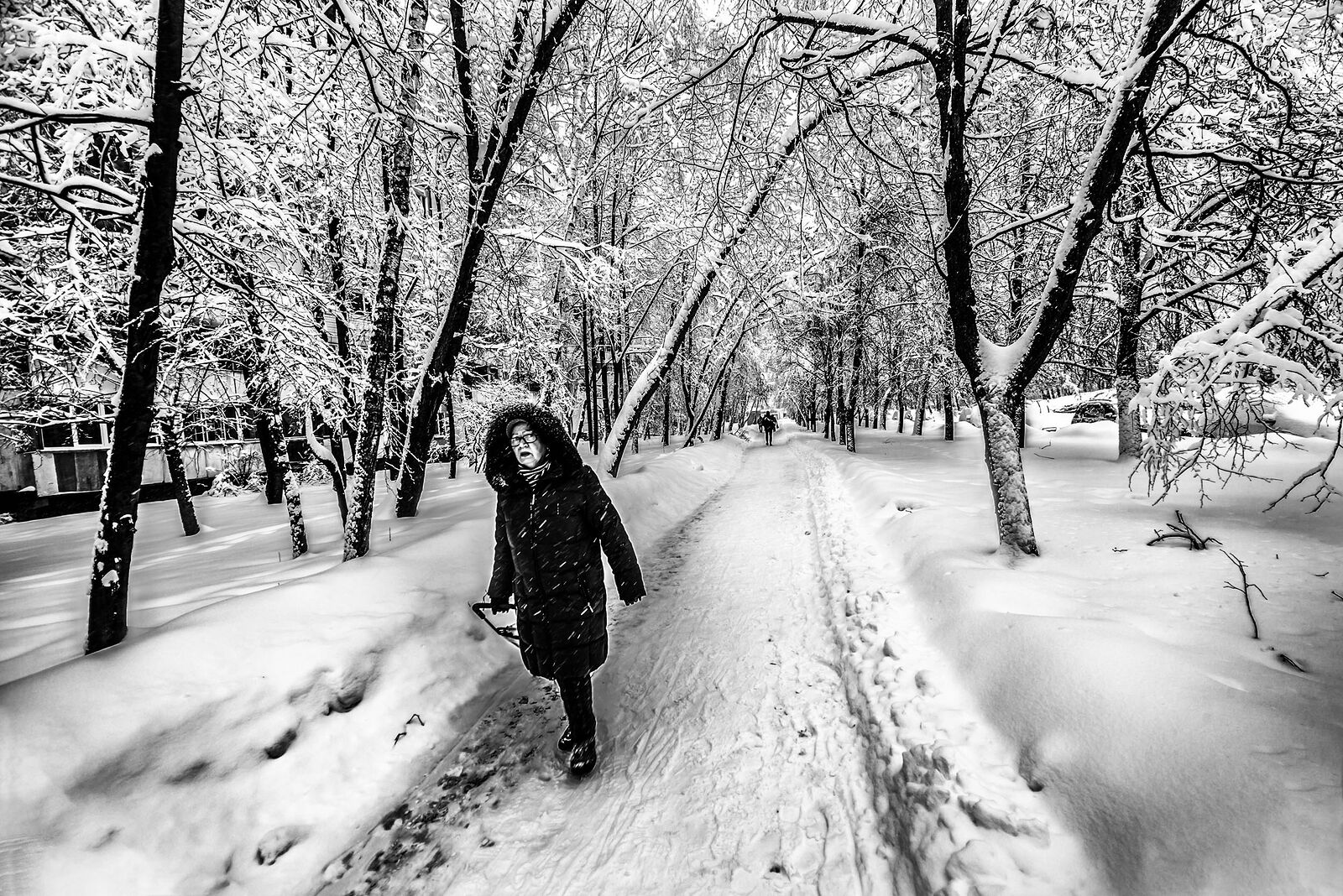 *About winter and snowfall*

+113408942588672463601 +106076691418230531902 +110091679872266331790 +117946374842099106894 +116501742697641301903 #PhotoManiaRussia +112265665616205691869 curated by +104698343803989200259, +109229655199470511440 , +100729516053218527245, +104636490732373417010,  +110913203234336237534 and +101541226861271538546  #HQSPUrbanStreetPhotos #hqspStreetDoc   #hqspmonochrome #BTPStreetPro – +100987991556762270859 . owned by +116501742697641301903 ,curated by +114204749561905497250 #BTPMonochromePro – +102423422094041260362 . owned by +116501742697641301903 ,curated by +100657331649343801873 #StreetPhotographySaturday +106159297180036570254 curated by +117500212198182258088 #myfavpicoftheday +113770145137447191122  curated by  +112086557200947219062 +110467478731575282246 #showyourbestwork +116251675481754618997 curated by +101697458106330852210 #promotephotography +117442006850435584887 #BreakfastArtClub +117055170035529799532 +117384787981686260131 created & managed by +107312821985718499517 #WeeklyPhoto page +110110076971164390682 #goodlightphotography +116396105365018385639 +115234054883058345779