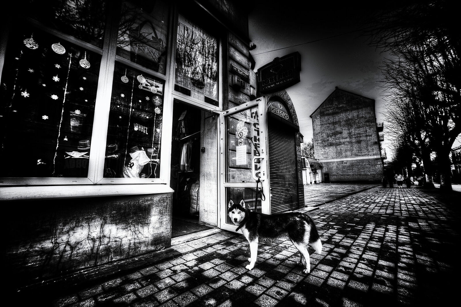 *A little bit of East Prussia...*+110473080845421674567 +113408942588672463601 +106076691418230531902 curated by +117692345791611512506 +110091679872266331790 +117946374842099106894 +116501742697641301903 #PhotoManiaRussia +112265665616205691869 curated by +104698343803989200259, +109229655199470511440 , +100729516053218527245, +104636490732373417010,  +110913203234336237534 and +101541226861271538546  #HQSPUrbanStreetPhotos #hqspStreetDoc   #hqspmonochrome #BTPStreetPro – +100987991556762270859 . owned by +116501742697641301903 ,curated by +114204749561905497250 #BTPMonochromePro – +102423422094041260362 . owned by +116501742697641301903 ,curated by +100657331649343801873 #StreetPhotographySaturday +106159297180036570254 curated by +117500212198182258088 #myfavpicoftheday +113770145137447191122  curated by  +112086557200947219062 +110467478731575282246 #showyourbestwork +116251675481754618997 curated by +101697458106330852210 #promotephotography +117442006850435584887 #BreakfastArtClub +117055170035529799532 +117384787981686260131 created & managed by +107312821985718499517 #WeeklyPhoto page +110110076971164390682 #goodlightphotography +116396105365018385639 +115234054883058345779
