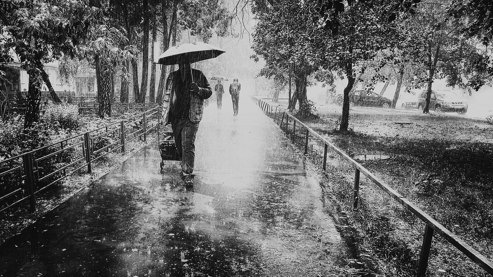 *Summer rain*+113408942588672463601 +106076691418230531902 +110091679872266331790 +117946374842099106894 +116501742697641301903 #PhotoManiaRussia +112265665616205691869 curated by +104698343803989200259, +109229655199470511440 , +100729516053218527245, +104636490732373417010,  +110913203234336237534 and +101541226861271538546  #HQSPUrbanStreetPhotos #hqspStreetDoc   #hqspmonochrome #BTPStreetPro – +100987991556762270859 . owned by +116501742697641301903 ,curated by +114204749561905497250 #BTPMonochromePro – +102423422094041260362 . owned by +116501742697641301903 ,curated by +100657331649343801873 #StreetPhotographySaturday +106159297180036570254 curated by +117500212198182258088 #myfavpicoftheday +113770145137447191122  curated by  +112086557200947219062 +110467478731575282246 #showyourbestwork +116251675481754618997 curated by +101697458106330852210 #promotephotography +117442006850435584887 #BreakfastArtClub +117055170035529799532 +117384787981686260131 created & managed by +107312821985718499517 #WeeklyPhoto page +110110076971164390682 #goodlightphotography +116396105365018385639 +115234054883058345779