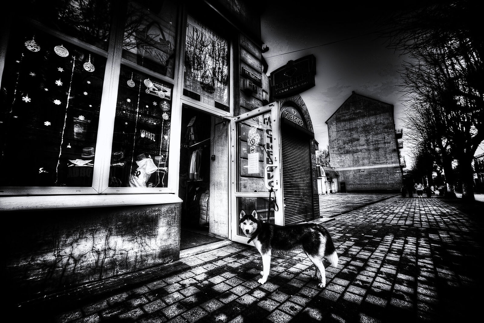 *A little bit of East Prussia...*+110473080845421674567 +113408942588672463601 +106076691418230531902 curated by +117692345791611512506 +110091679872266331790 +117946374842099106894 +116501742697641301903 #PhotoManiaRussia +112265665616205691869 curated by +104698343803989200259, +109229655199470511440 , +100729516053218527245, +104636490732373417010,  +110913203234336237534 and +101541226861271538546  #HQSPUrbanStreetPhotos #hqspStreetDoc   #hqspmonochrome #BTPStreetPro – +100987991556762270859 . owned by +116501742697641301903 ,curated by +114204749561905497250 #BTPMonochromePro – +102423422094041260362 . owned by +116501742697641301903 ,curated by +100657331649343801873 #StreetPhotographySaturday +106159297180036570254 curated by +117500212198182258088 #myfavpicoftheday +113770145137447191122  curated by  +112086557200947219062 +110467478731575282246 #showyourbestwork +116251675481754618997 curated by +101697458106330852210 #promotephotography +117442006850435584887 #BreakfastArtClub +117055170035529799532 +117384787981686260131 created & managed by +107312821985718499517 #WeeklyPhoto page +110110076971164390682 #goodlightphotography +116396105365018385639 +115234054883058345779