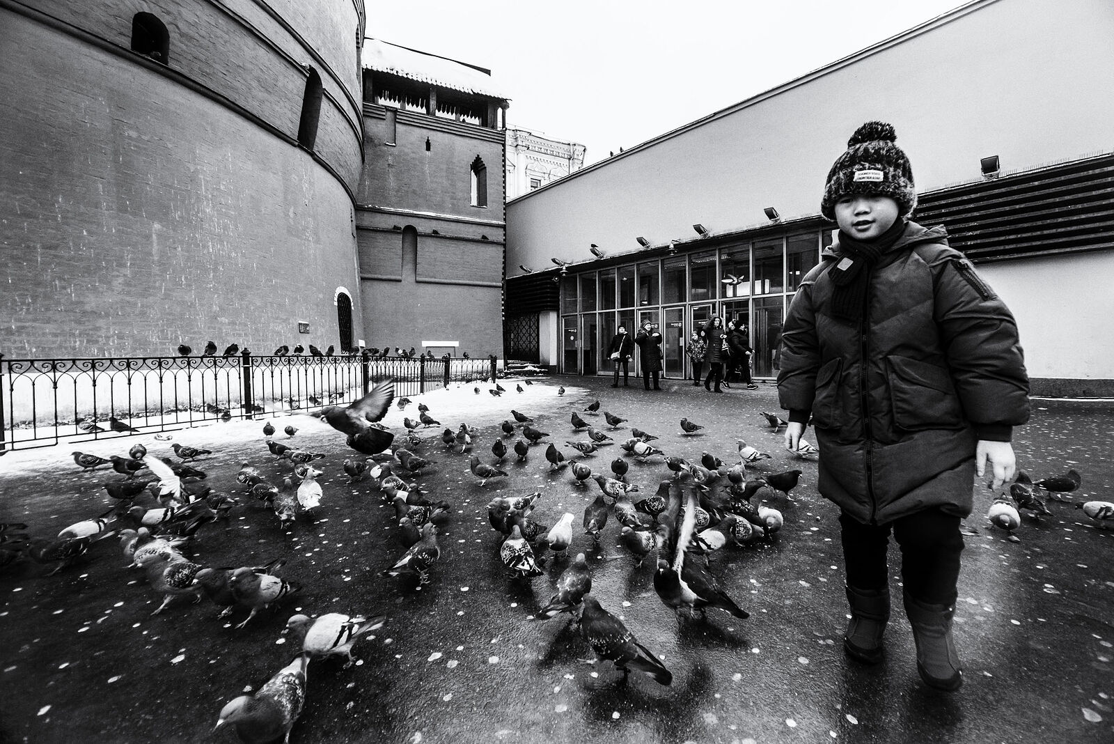 *Street portrait of a boy with pigeons...*+110473080845421674567 +113408942588672463601 +106076691418230531902 curated by +117692345791611512506 +110091679872266331790 +117946374842099106894 +116501742697641301903 #PhotoManiaRussia +112265665616205691869 curated by +104698343803989200259, +109229655199470511440 , +100729516053218527245, +104636490732373417010,  +110913203234336237534 and +101541226861271538546  #HQSPUrbanStreetPhotos #hqspStreetDoc   #hqspmonochrome #BTPStreetPro – +100987991556762270859 . owned by +116501742697641301903 ,curated by +114204749561905497250 #BTPMonochromePro – +102423422094041260362 . owned by +116501742697641301903 ,curated by +100657331649343801873 #StreetPhotographySaturday +106159297180036570254 curated by +117500212198182258088 #myfavpicoftheday +113770145137447191122  curated by  +112086557200947219062 +110467478731575282246 #showyourbestwork +116251675481754618997 curated by +101697458106330852210 #promotephotography +117442006850435584887 #BreakfastArtClub +117055170035529799532 +117384787981686260131 created & managed by +107312821985718499517 #WeeklyPhoto page +110110076971164390682 #goodlightphotography +116396105365018385639 +115234054883058345779
